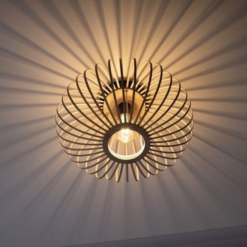 LEUCHTEN DIREKT 11410-79 - Plafonski luster RACOON 1xE27/40W/230V prečnik 40 cm Slike