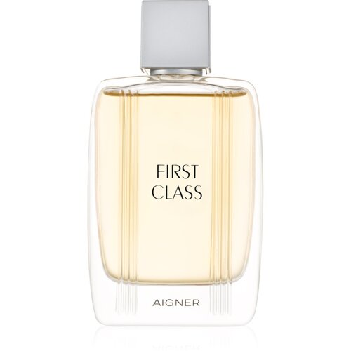 Aigner Etienne First Class EDT 100 ml Cijene