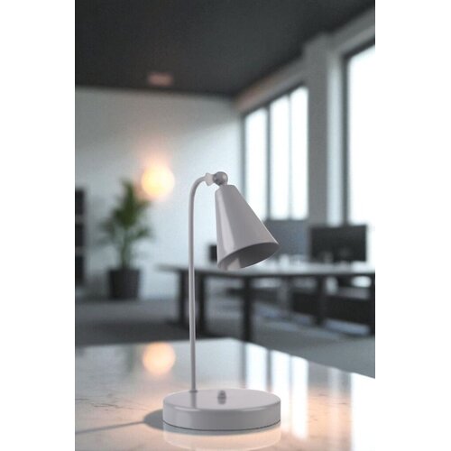 Opviq Stolna lampa 8895-4, Siva Slike