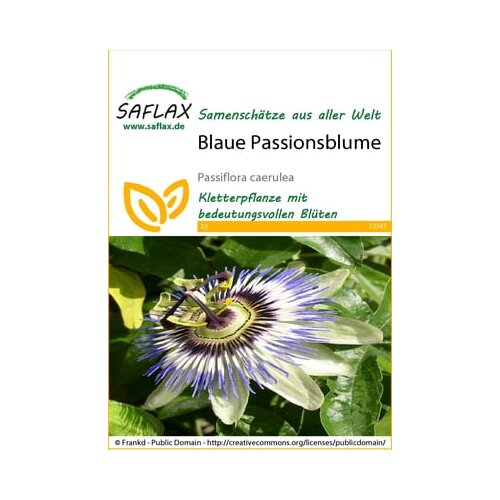 Saflax Modra pasijonka Slike