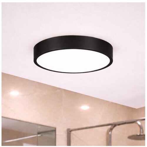  Brilagi - LED kupatilsko plafonsko svetlo POOL LED/24W/230V prečnika 30 cm IP54 crna Cene