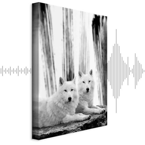  Slika - Forest Love (1 Part) Vertical 20x30 Akustična Cijene