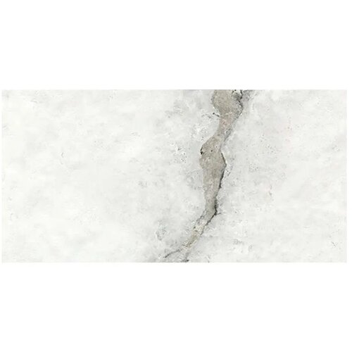 Halcon ceramicas Vintage White Mate 60x120 M80 Cene