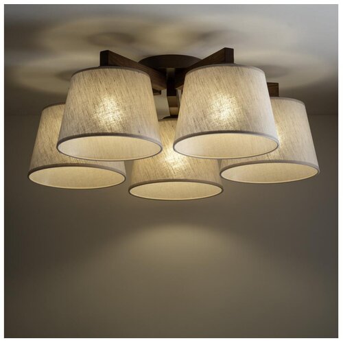 Brilagi plafonski luster latte 5xE27/15W/230V borovina/krem Cene