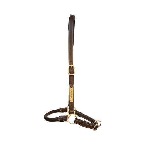 Kentucky Horsewear Usnjena oglavka "Grooming" - WB Cene