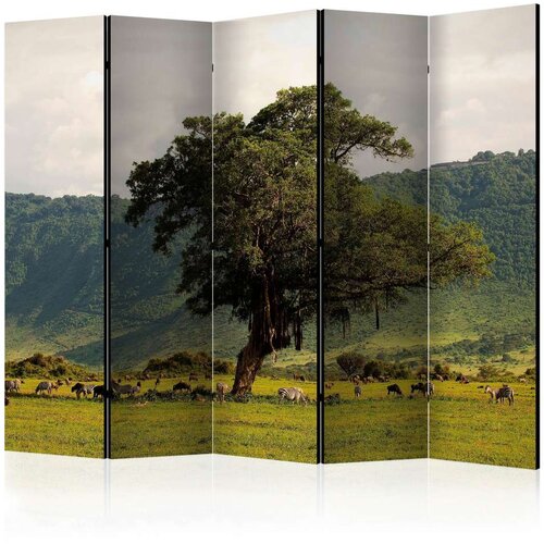  Paravan u 5 dijelova - In a crater of Ngoro ngoro II [Room Dividers] 225x172 Cijene