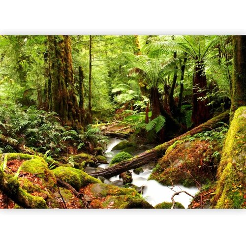  Foto tapeta - Forest Brook 300x210 Standard Cene