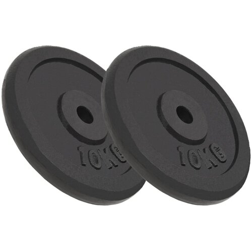 VidaXL Ploče za utege od lijevanog željeza 2 kom 2 x 10 kg Slike