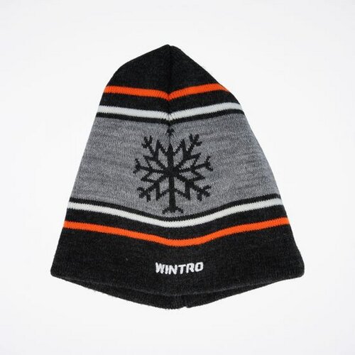 Wintro kapa fuze beanie Slike