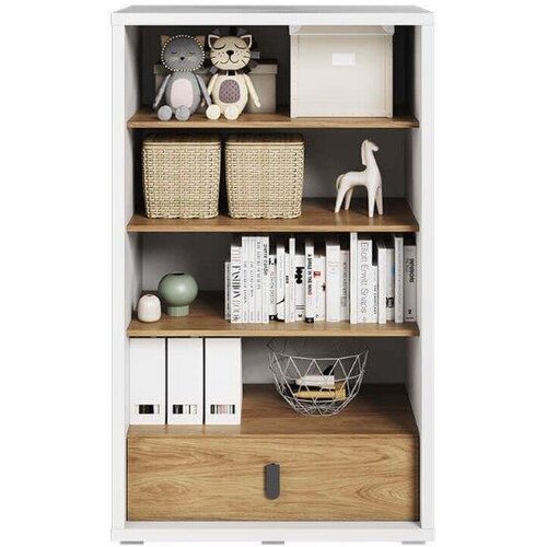  Knjižna omara TRNULJČICA 2 Cene