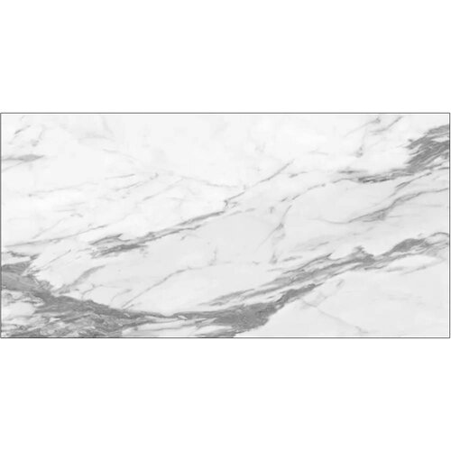  Altissimo White 60x120 Cene