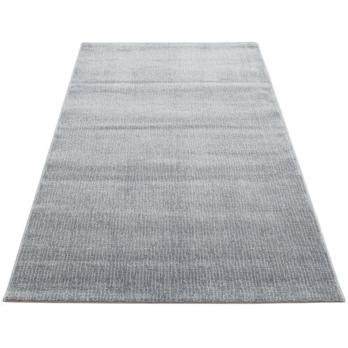 Conceptum Hypnose lt 01 - light grey grey hall carpet (80 x 150) Cene