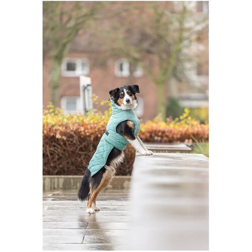 Trixie kaput za pse CityStyle Oslo 45 cm Slike