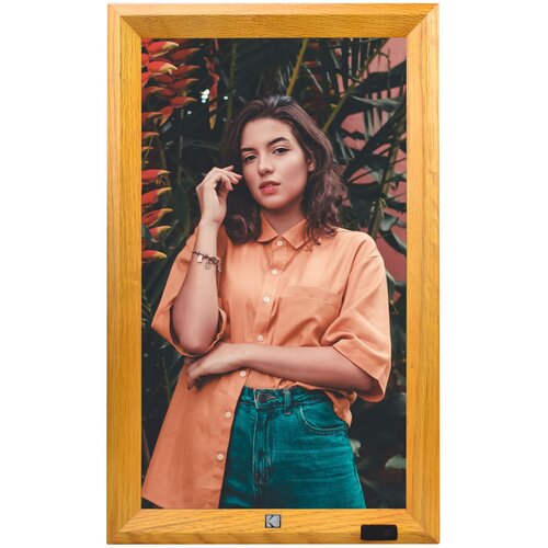 Kodak WF238V Wi-Fi Brown Cene