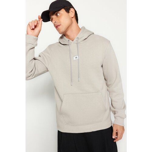 Trendyol Men's Gray Men's Regular/Regular fit hoodie with tags and pockets, fleece inner thick Sweatshirt. Slike