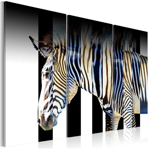  Slika - Stripes 90x60 Slike