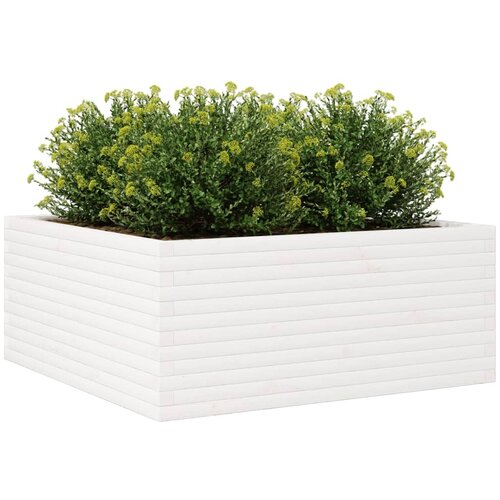  Vrtna sadilica bijela 110x110x46 cm od masivne borovine Slike