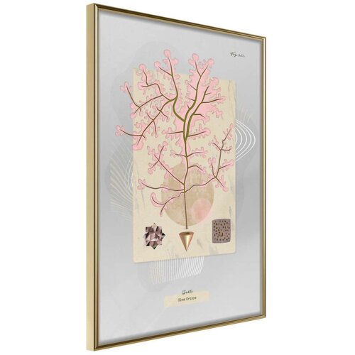  Poster - Seaweed 20x30 Slike
