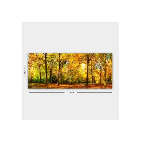 Wallity Slika za zid YTY812718_50120, 50x120 cm Cene