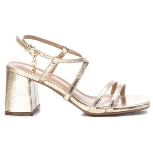 Xti 142351 Gold Slike