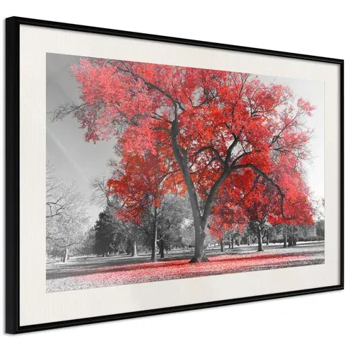  Poster - Red Tree 60x40