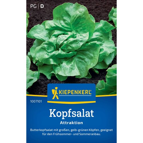 KIEPENKERL Glavnata solata "Attraktion" - 1 pkt. Cene