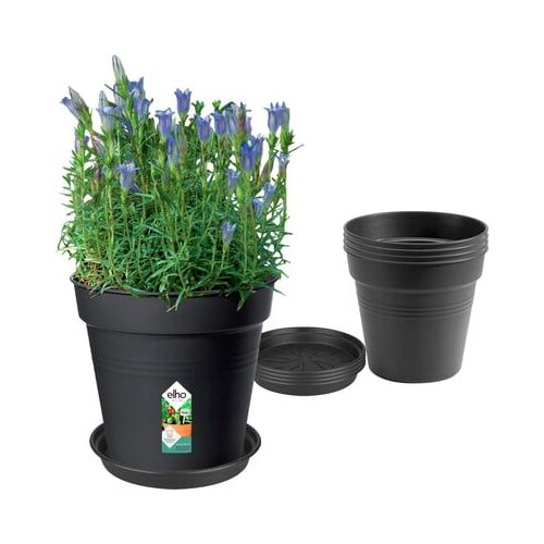 Green Basics set, črna, lonec za gojenje 17 cm + podstavek 14 cm Cene