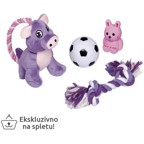 Nobby Puppy Starter Set komplet igračk - 4 kos Cene