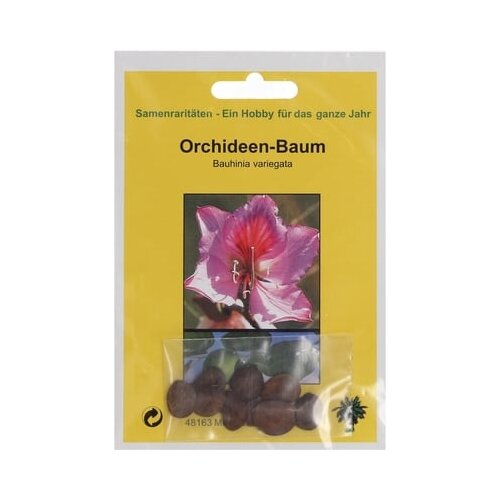 TROPICA Drevo orhideje Cene