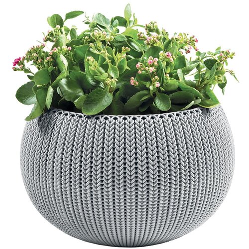 Keter Plastična viseća i zidna posuda za cvijeće &amp;oslash; 36 cm Cozy &amp;ndash; Slike
