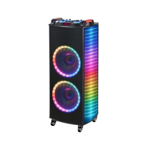  zvučnik bluetooth NDR-1010S 100W 2*10 inca sa dva mikrofona crni Cene