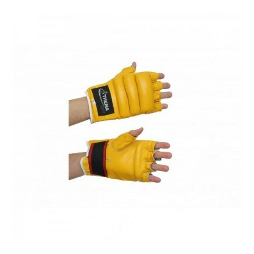 Thema Sport tsport rukavice za džak koža bi 2023 xl ( bi 2023-XL ) Cene
