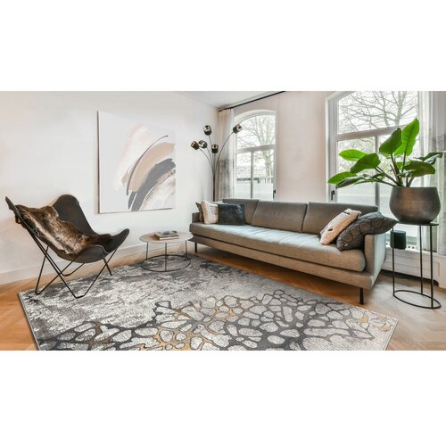 FD Siva/sivorjava preproga 200x280 cm Folgen &amp;ndash; Slike
