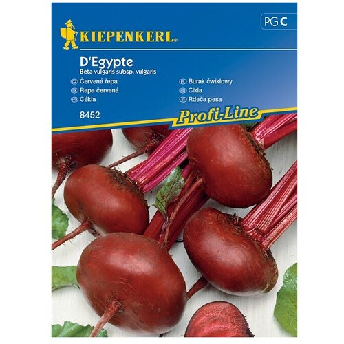 KIEPENKERL Sjeme povrća Cikla D&amp;#039;Egypte (Beta vulgaris subsp. vulgaris, Berba: Srpanj) Slike