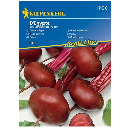 KIEPENKERL Zelenjavna semena rdeče pese D'Egypte (Beta vulgaris subsp. vulgaris, Čas žetve: Julij) Cene