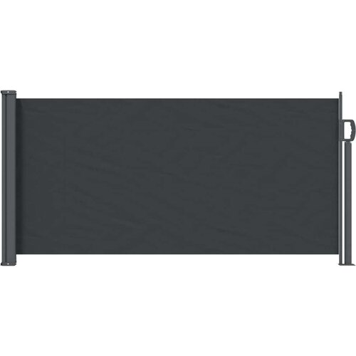  Retraktabilna bočna tende Crna 300 x 100 cm Poliester Cijene