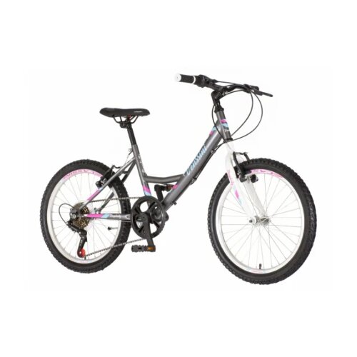 Venssini bicikl parma 20&amp;quot; sivi Slike