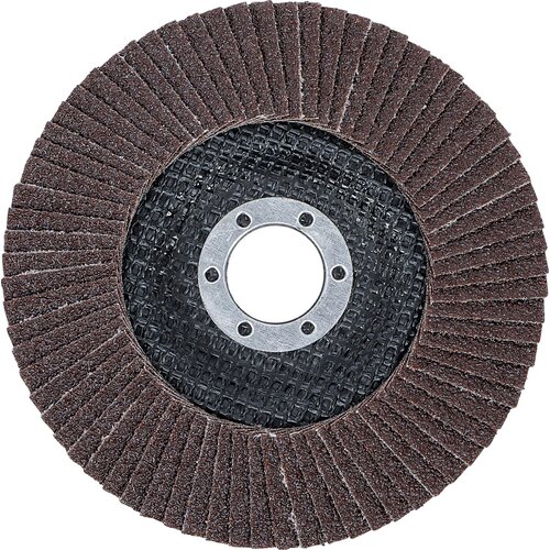 BGS Brusni disk | &Oslash; 125 mm | K 60 Cijene
