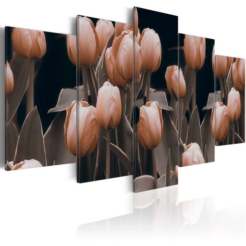  Slika - Tulips in sepia 100x50 Cijene