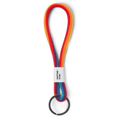 Pantone &amp;Scaron;arena petlja za ključeve Pride Slike