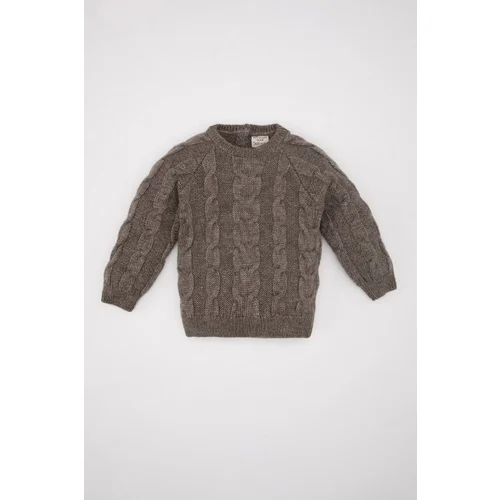 Defacto Baby Boy Crew Neck Sweater