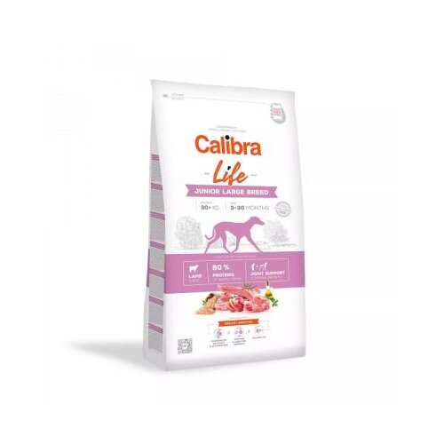 CALIBRA Dog Life hrana za pse - Junior Large breed Jagnjetina 12kg Cene