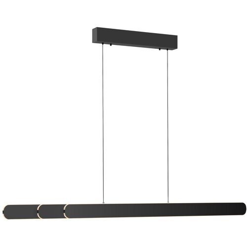 SCHÖNER WOHNEN 12577-18 - led prigu&scaron;iva luster na sajli adriana 2xLED/24W/230V crna Cene