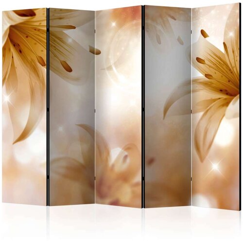 Paravan u 5 dijelova - Queens of Summer II [Room Dividers] 225x172 Slike