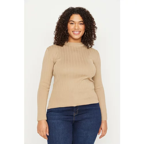 Trendyol Curve Plus Size Sweater - Brown - Regular fit
