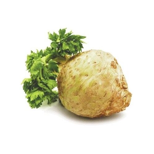 Nepoznato Celer 1kg Cene