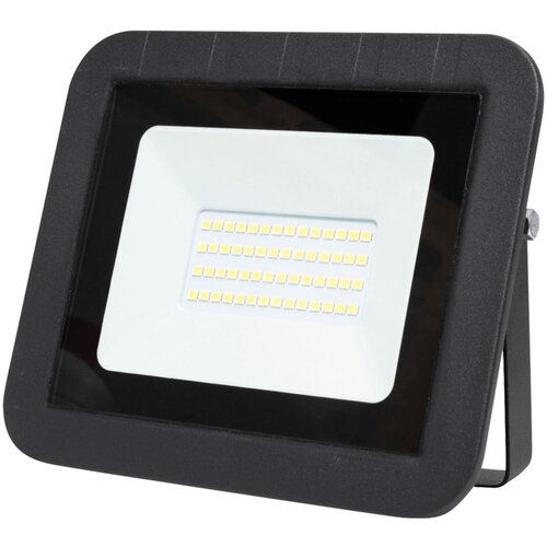 Home Reflektor, LED, 30 W &amp;ndash; FL 30 SMD Slike