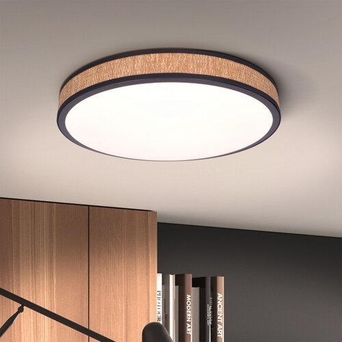  Brilagi - LED prigu&amp;scaron;iva stropna svetiljka ROSA LED/48W/230V 3000-6500K + DO Slike