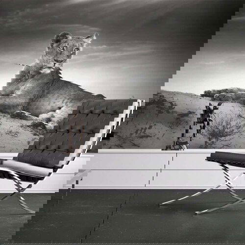  Tapeta - Black and white lioness 200x154 Cijene