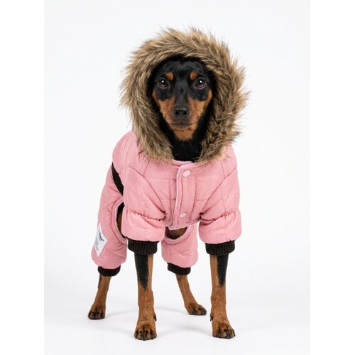 Lovable Dog LOVABLEDOG ZIMSKI SKAFANDER SA NOGAVICAMA 26-27CM Cene